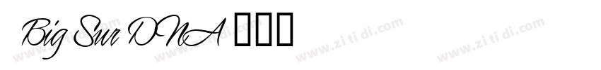 4 Big Sur DNA字体转换